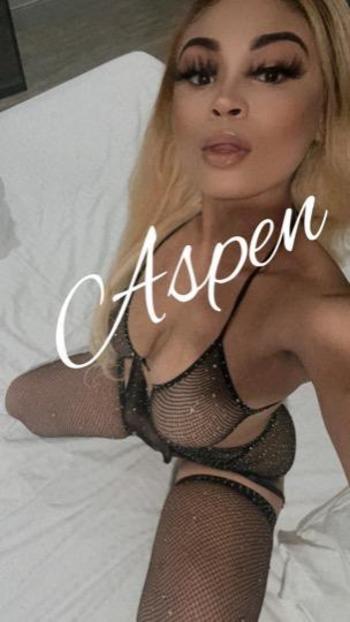 2133368806, female escort, San Diego